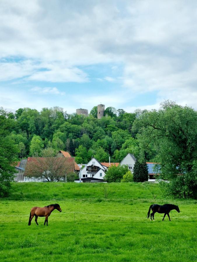 Ferienhaus Diemelaue Mit Klimaanlage Bad Karlshafen Ngoại thất bức ảnh